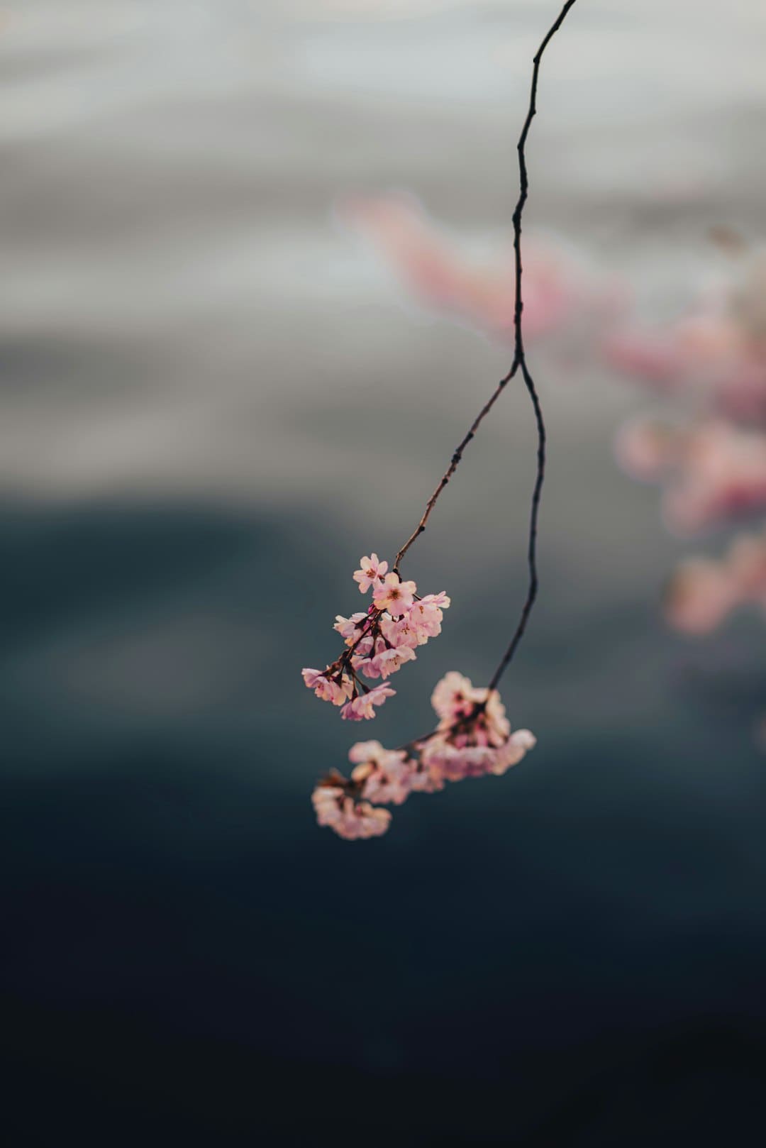 http://n.sinaimg.cn/translate/w900h600/20180310/l8Y8-fxpwyhw8464581.jpg?zdy
